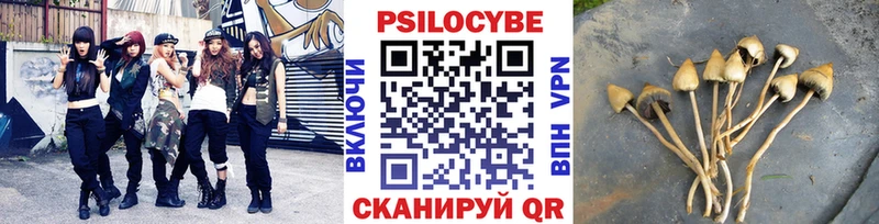 Псилоцибиновые грибы Magic Shrooms Дмитровск